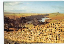 Postcard Roman Wall in Northumberland England I-29868