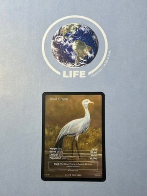 Life TCG Birds 1st Edition - Full Art Cards