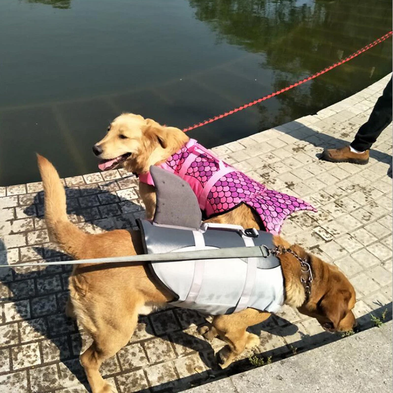 Chaleco salvavidas duradero para mascotas perros chaleco de seguridad para natación con asa de tracción salvavidas para cachorros Foto 3 de 4