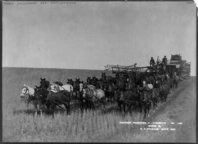 8'' x 10'' Photo Combined harvester & thrasher drawn by large team of horses