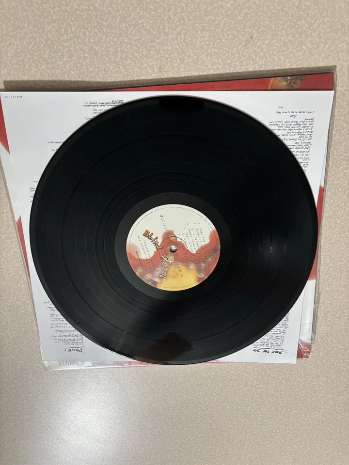 Виниловая одноименная слепая дыня - Изображение 2 из 3