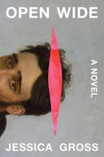 Jessica Gross Open Wide (Hardback)