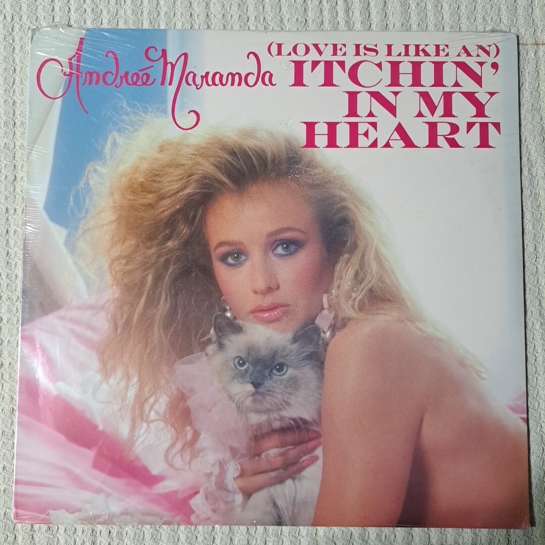 LAREINE　Chantons I am amour FULL LIVE] Chantons L'amour - LAREINE (Remastered | VHS Rip