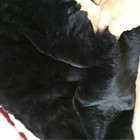 Bild 9 von 13
