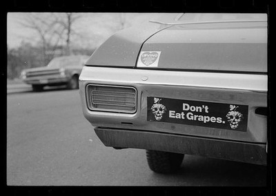 Photo:1970 Grape Strike Boycott Don't Eat Grapes Bumper Sticker