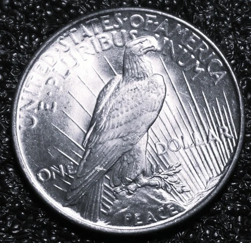 1925 P Peace Silver Dollar, Choice Uncirculated