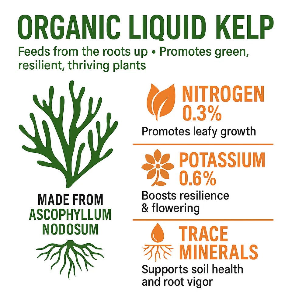 Fertilizante líquido para algas marinas orgánicas algas, 1 galón de concentrado GS alimentos vegetales Foto 2 de 4