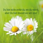 Bild 71 von 71