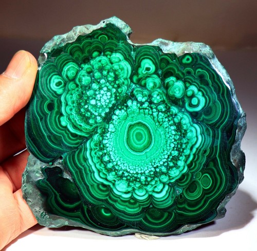 4.75" Polished Complete Malachite Slab, Congo! MA570 - Picture 3 of 4