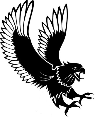 Childrens Decals LARGE 24" tiger claws car bonnet side sticker tribal