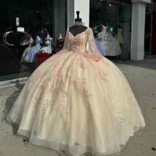 Princess Quinceanera Dresses Ball Gown V-Neck Applique Birthday Party Sweet 16