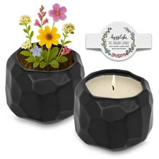- The Growing Candle, Chai Scented, 13oz Ceramic Pot, Aromatherapy Candles fo...