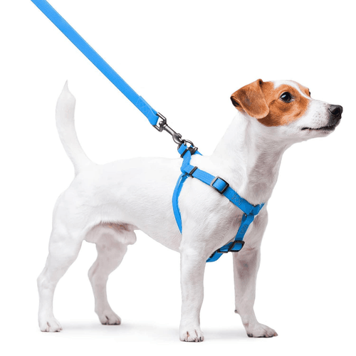Waterproof Dog Harness (Blue 9 16 16 22 in) o - Picture 5 of 5