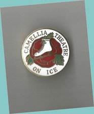 ice skating teddy bear