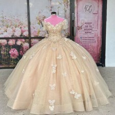 Butterflies Glitter Quinceanera Dresses Beaded Sweet 16 Ball Gowns Floor Length