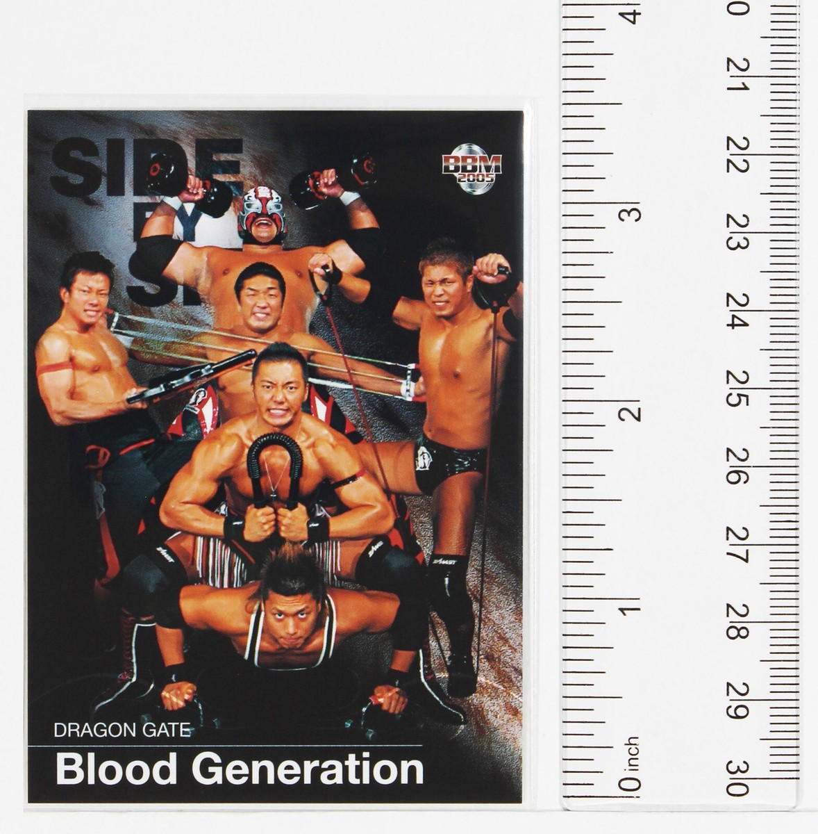 Blood Generation - 2005 BBM Pro-Wrestling Trading Card | eBay