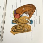 Picture 8 of 8