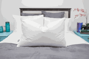Pacific Coast Preferred Comfort Standard Pillow Customer