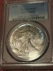 1990 $1 American Silver Eagle Blue Rim Toned PCGS MS67