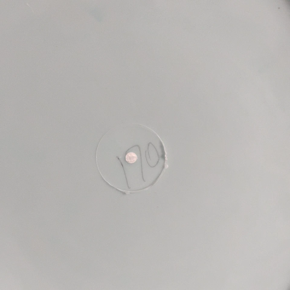 Rare New Innova Champion Discs Proto Star 1st Run Banshee Blue 170g OOP PFN - Image 4 of 4