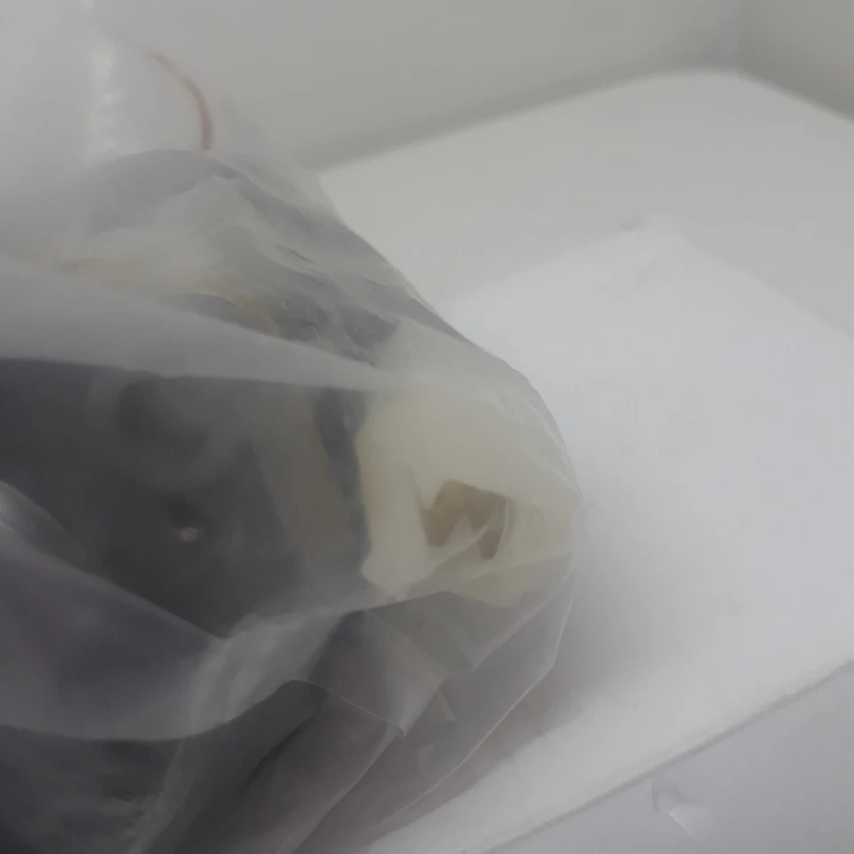 Starter For Polaris ATV Predator Scrambler 50 & Eton 50 ATV SMU0272 - Image 3 of 4