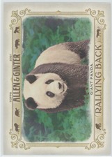 2021 Topps Allen and Ginter Rallying Back #RB-2 Giant Panda