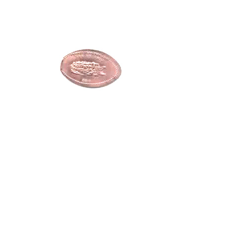 San Antonio Zoo Snapping Turtle Elongated Pressed Smashed Coin Penny