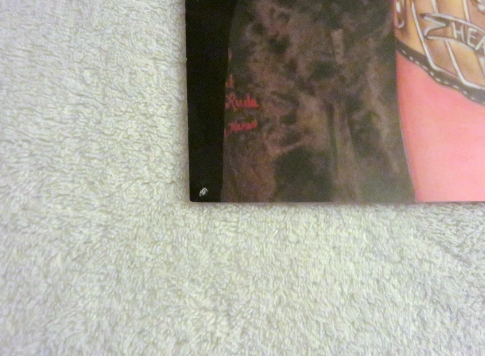 Póster pinup de lucha libre RAVISHING RICK RUDE de colección excelente estado WCW WWF Foto 3 de 4