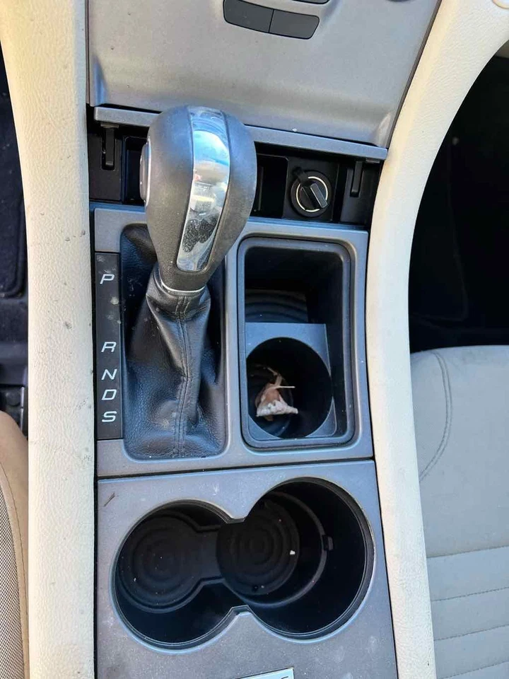 Used Engine Coolant Reservoir fits: 2018 Ford Taurus  Grade A - Image 2 of 4