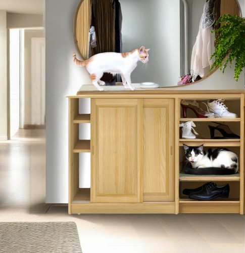 KLAR NATUR KIEFERNHOLZ FRONT Holz Kassetten TÜR Lamellenschrank Kleiderschrank - Bild 9 von 13