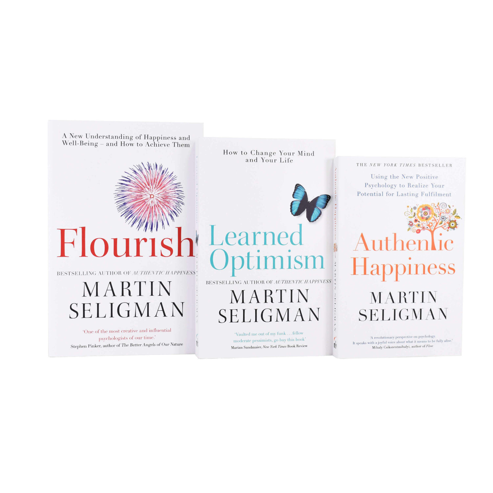 Nicholas Brealey Publishing Martin Seligman 3 Books Collection Set - Non Fiction - Paperback - Image 2