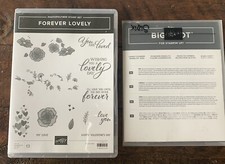 Stampin Up FOREVER LOVELY Photopolymer Stamp Set LOVELY FLOWERS Edgelits Dies