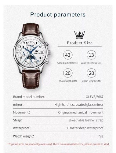 OLEVS Automatic Mechanical Men's Watch Waterproof Leather/Stainless Steel Strap - Picture 4 of 26