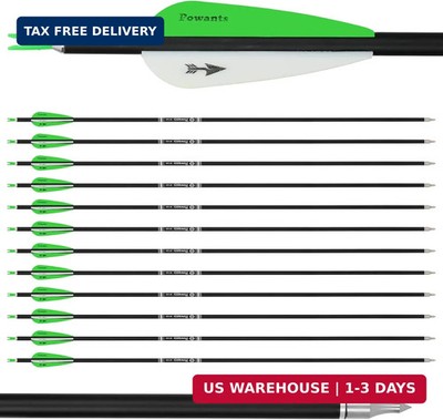 31inch Carbon Arrow Archery Targeting Practice Hunting Arrows for Compound & Rec