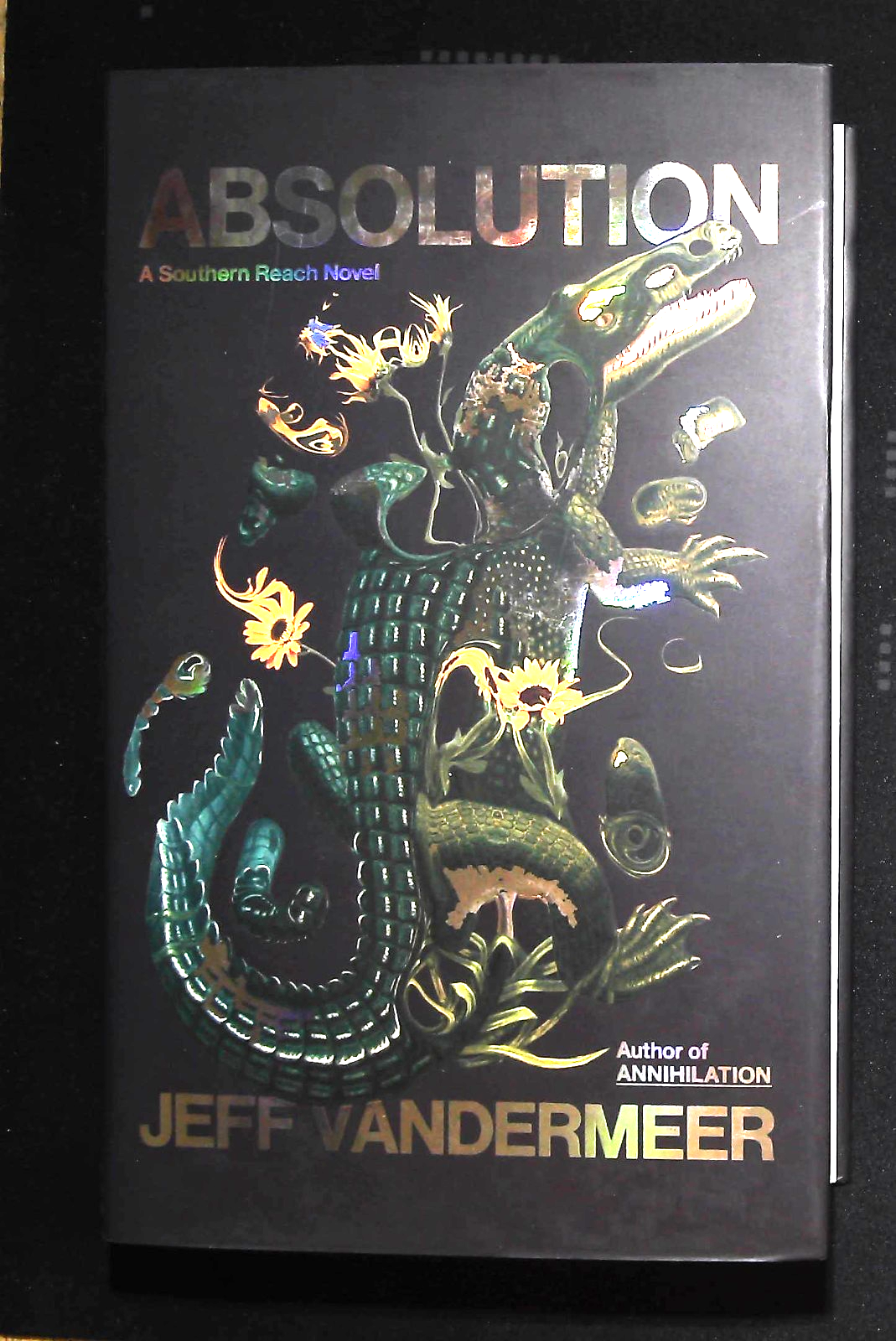 Absolution by Jeff VanderMeer Book NEW Hardback