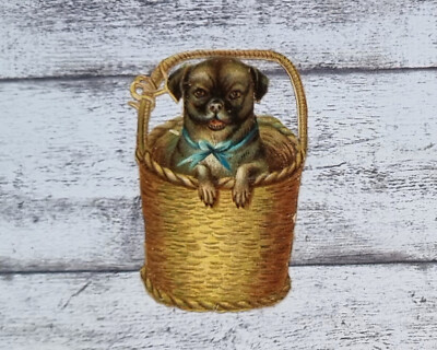 um 1900 Mops Korb Schleife süß Tier Glanzbild alt Prägedruck Ephemera Vintage
