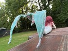Foto 14 di 17