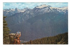 Olympic National Park, Mt. Olympus, High Divide Trail, Chrome Postcard Unposted