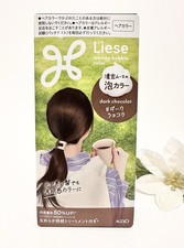 Kao LIESE Soft Creamy Bubble Foam Hair Color Prettia Kit In DARK CHOCOLATE