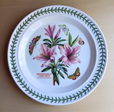 Portmeirion Der Botanische Garten RHODEDENDRUM LILIFLORUM ~ 10,5'' Essteller