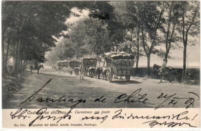 AK Santiago de Chile - Costumbres chilenas- Ochsenwagen mit Heu, gel. 1907
