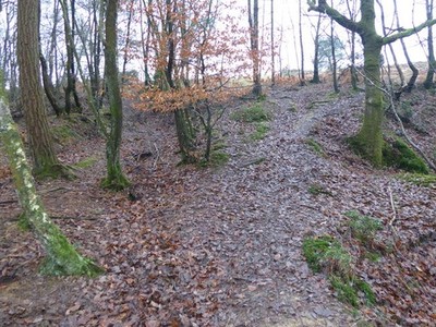 Foto A3 im Millbrook Valley Duddleswell Ashdown Forest ist ein ehemaliges Medium 2016