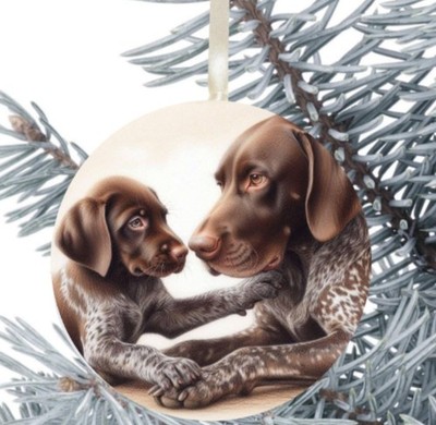 Zeiger Hund Geschenk Deko Weihnachten hängend 