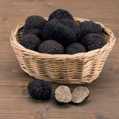 Precious Italian fresh black truffles. Black truffle 295g. 10,4 oz. Mushrooms. - Image 4 of 4