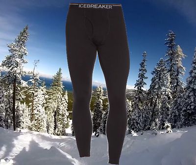 Icebreaker Mens Small Apex Merino Wool Sports Running Leggings