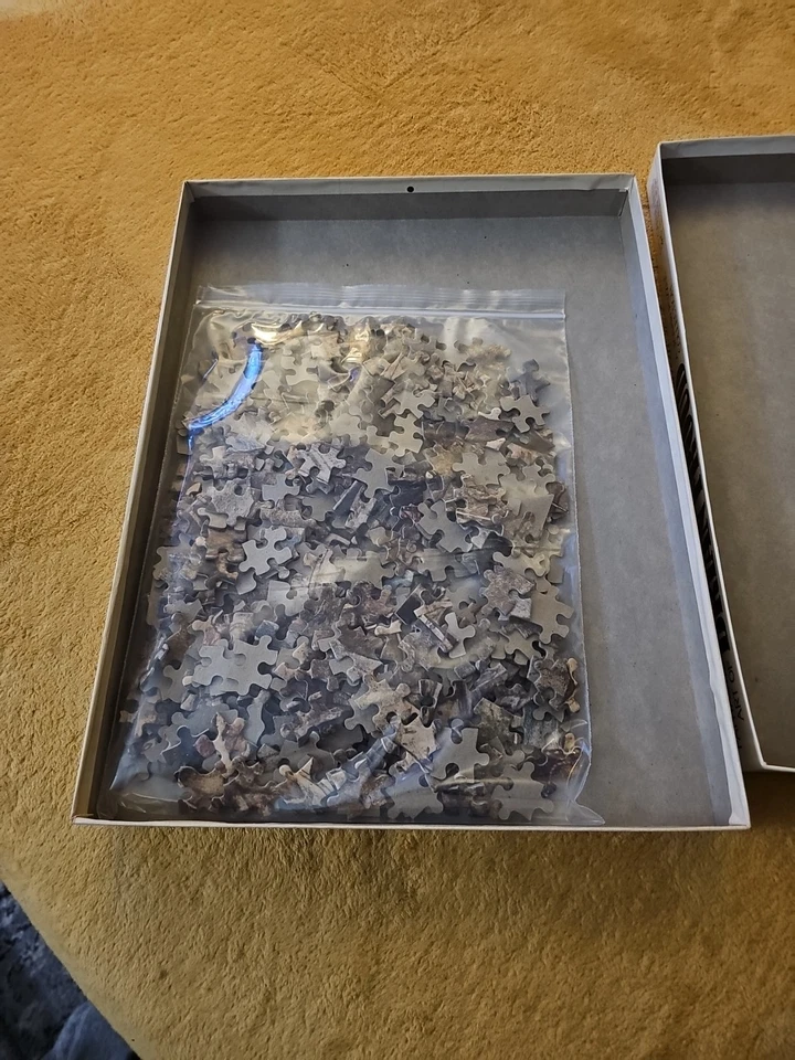 Lote de rompecabezas FRAZETTA (6) rompecabezas de fantasía Boris Froud vintage APC 18"x 24" Foto 4 de 4