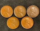 Lot of (5) 1909 VDB Lincoln Wheat Cent Penny- XF Condition Nice Lot Of Coins