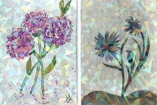 Aceo 