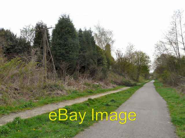 Photo 6x4 Fallen Tree on Trans Pennine Trail Hyde c2012 UK