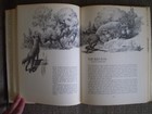 Alive in the Wild Edited by Victor H. Cahalane ©1970 Hardcover with Dust Jacket — photo 6